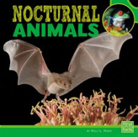 Nocturnal_Animals