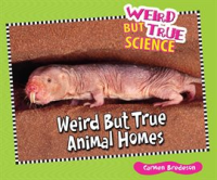 Weird_But_True_Animal_Homes