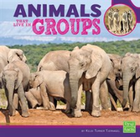 Animals_That_Live_in_Groups