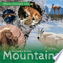 Animals_in_the_mountains