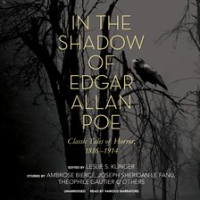 In_the_Shadow_of_Edgar_Allan_Poe
