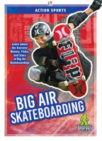 Big_Air_Skateboarding