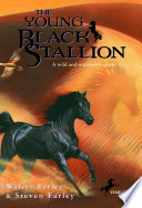 The_young_black_stallion