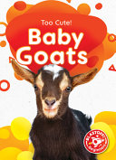 Baby_goats