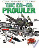 The_EA-6B_Prowler