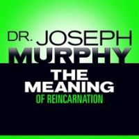 The_Meaning_of_Reincarnation