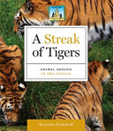 A_streak_of_tigers