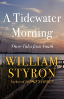 A_Tidewater_Morning