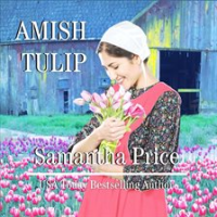 Amish_Tulip