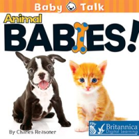 Animal_Babies_
