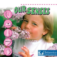Our_Senses