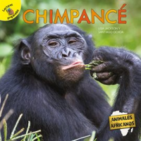 Chimpanc__