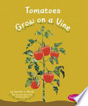 Tomatoes_grow_on_a_vine