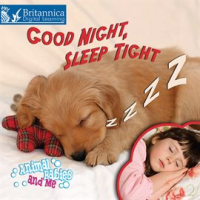 Good_Night__Sleep_Tight